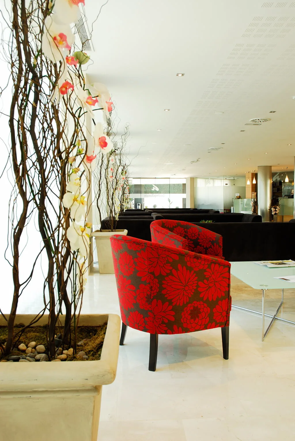 Hotel Daniya Dénia - Recepción