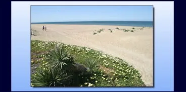 Hotel Rosa – Playa