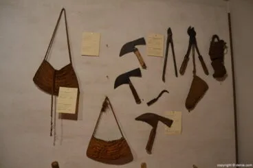 Utensilios para la recolección de la uva pasa