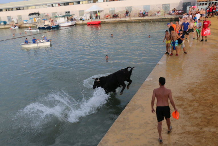 El toro cae al agua persiguiendo a un corredor