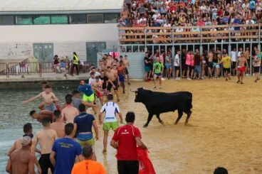 El toro en Bous a la Mar