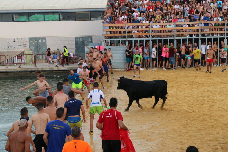 The bull in Bous a la Mar