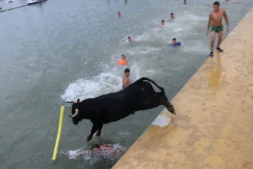 El toro se lanza sobre el agua