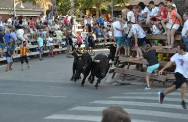 Entrada de Bous a la Mar por las calles de Dénia