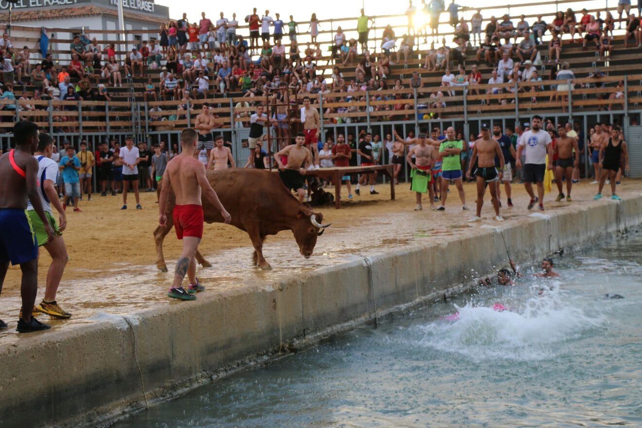 Entrada de Bous a la Mar en 2019