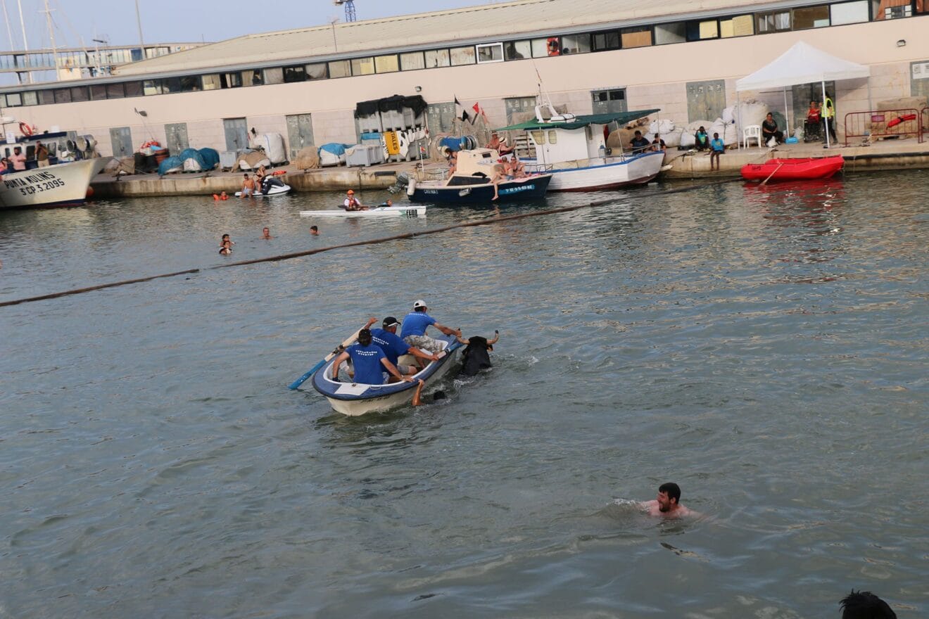 La barca de rescate recoge al toro tras caer al agua