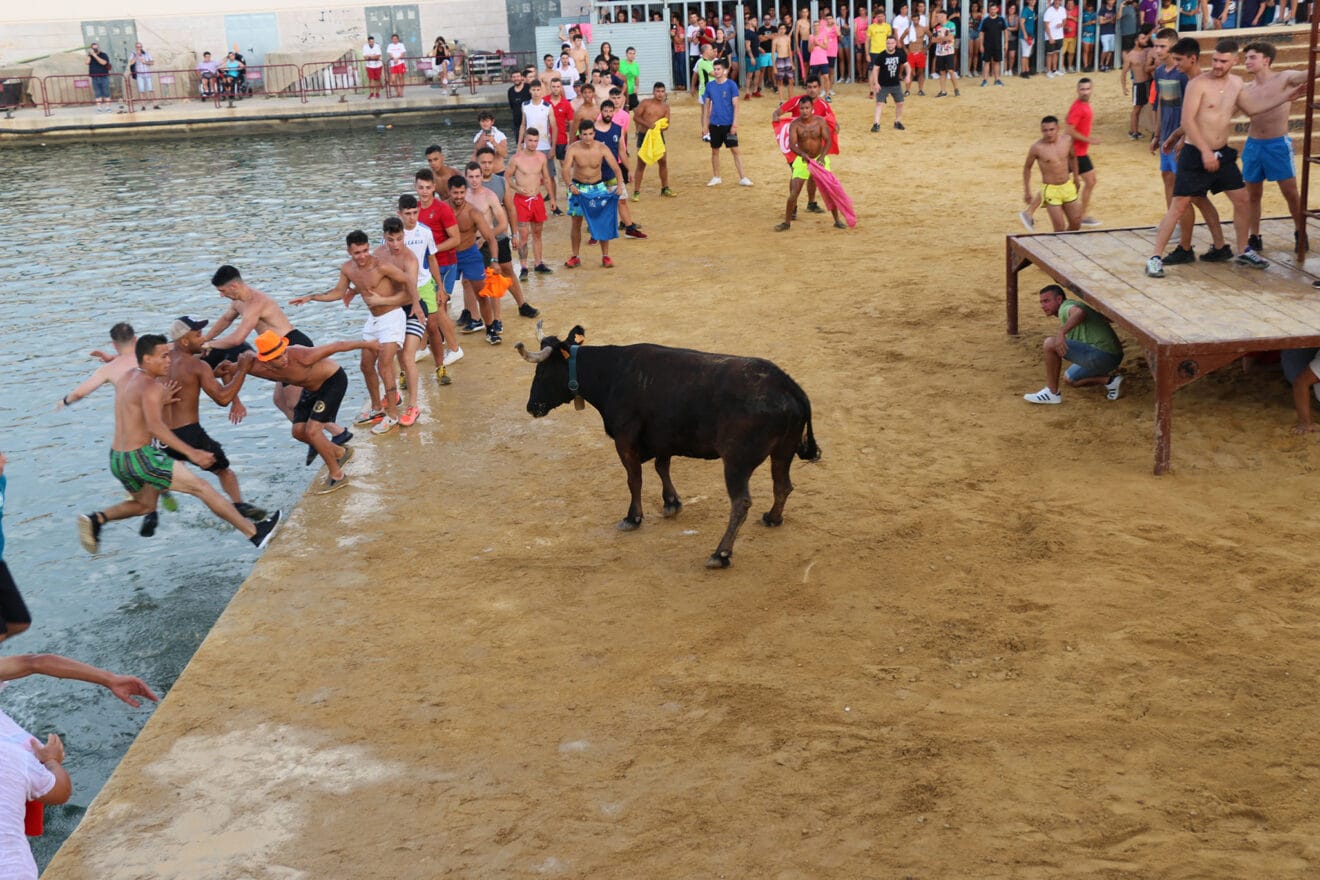 La gente se tira al agua para que la vaca no les pille