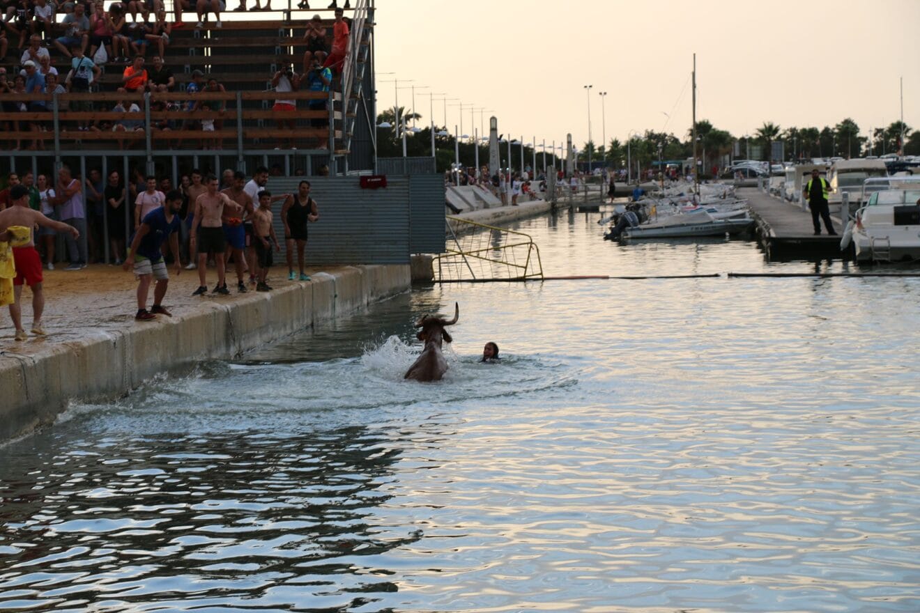 La vaca con la cabeza fuera del agua