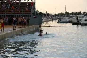 La vaca con la cabeza fuera del agua