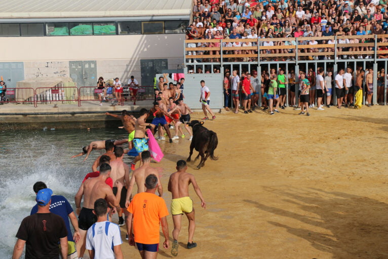 La vaca obliga a la gente a tirarse al puerto