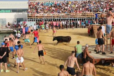 La vaca preparada para embestir en Dénia
