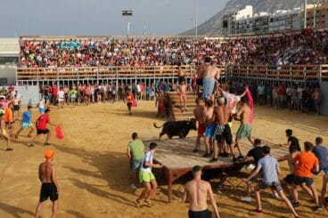 Participantes escondiéndose de la vaca