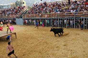 Toro en la plaza de Bous a la Mar de Dénia