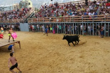 Toro en la plaza de Bous a la Mar de Dénia