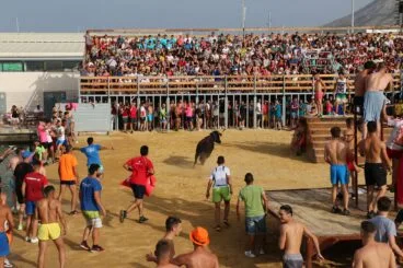 Vaquilla en els Bous a la Mar de Dénia