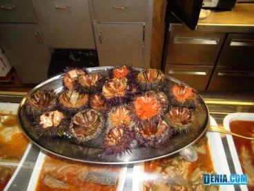 Casa Miguel Juan, Plato de Erizos