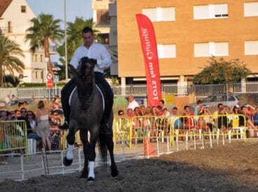 Espectáculo Ecuestre IV