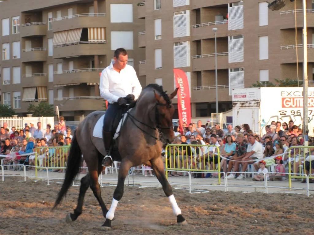 Espectáculo Ecuestre IX