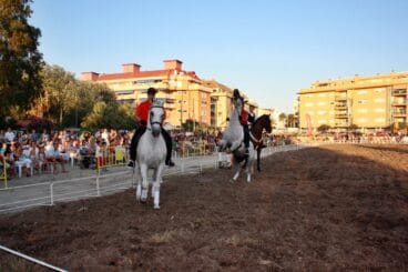 Espectáculo Ecuestre V