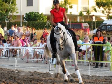 Espectáculo Ecuestre VI