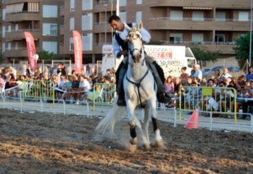 Espectáculo Ecuestre VIII