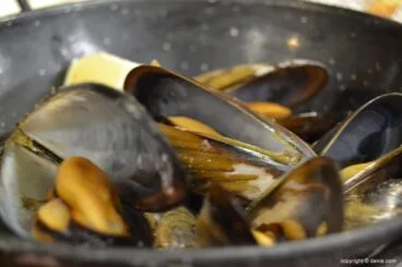 Miguel Juan – mejillones