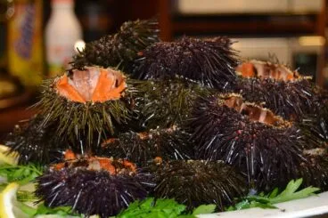 Restaurante Miguel Juan – erizos