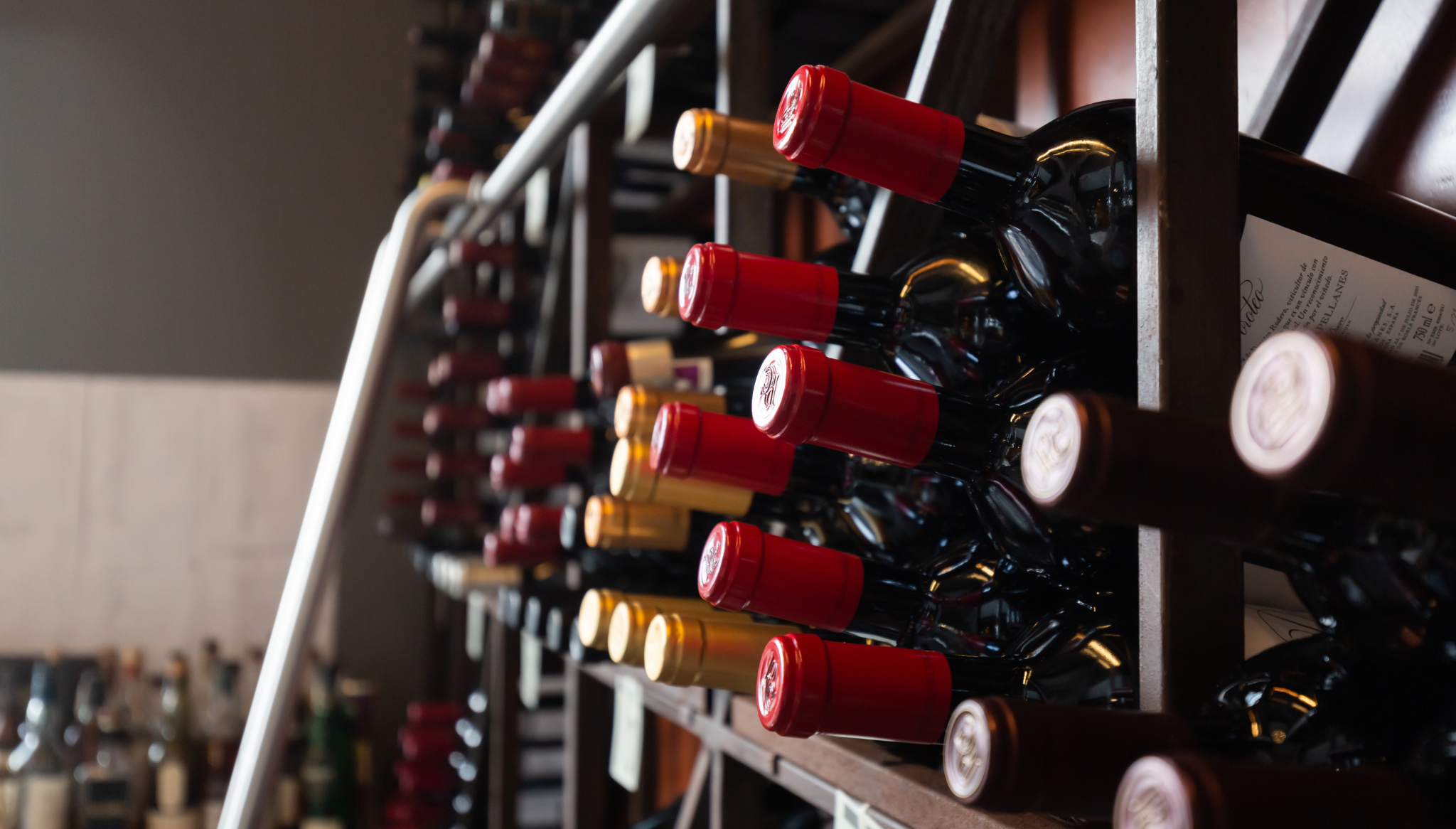 Elige entre toda su variedad de vinos – Mediterrasian