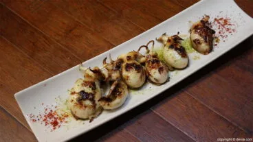 Sepionet Miguel Juan