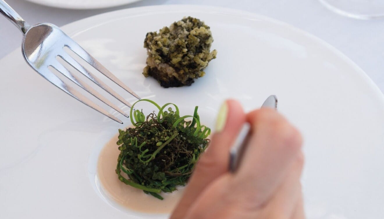 Tradición y territorio en cada creación culinaria