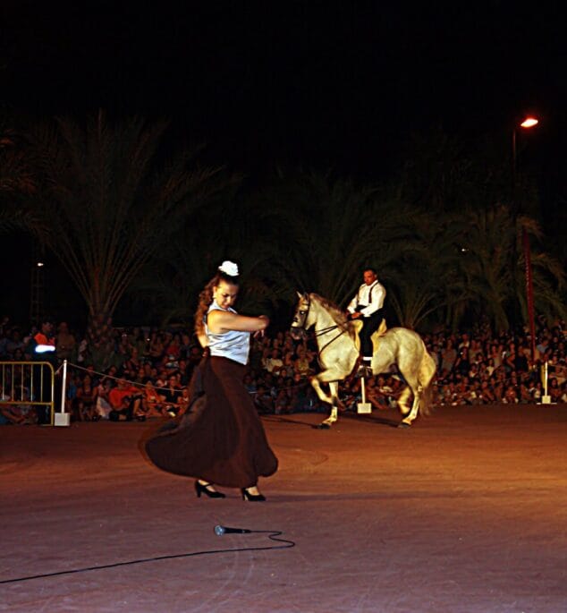04 08 10.Flamenco y Caballs Les Bassetes 13