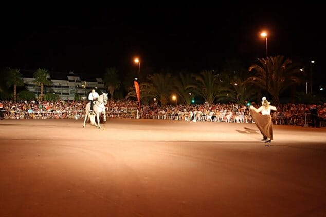 04 08 10.Flamenco y Caballs Les Bassetes 17