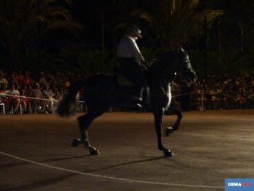 Caballos y Flamenco en Bassetes 08