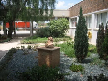 Jardín del colegio Montgó