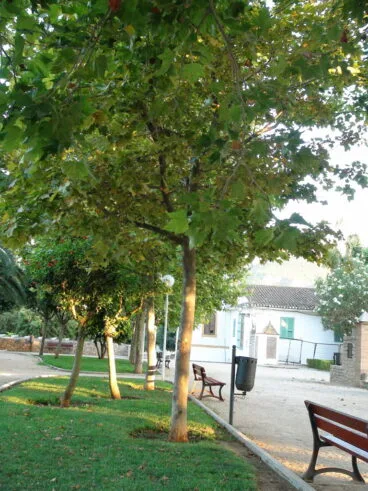 Parque de Torrecremada 03