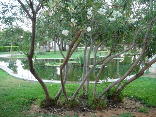 Parque de Torrecremada 09