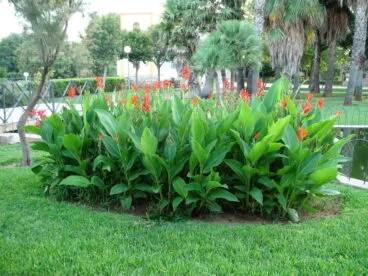 Parque de Torrecremada 11