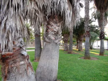 Parque de Torrecremada 17