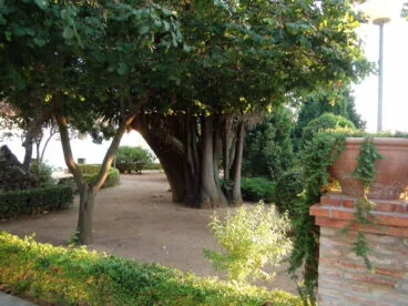 Parque de Torrecremada 21