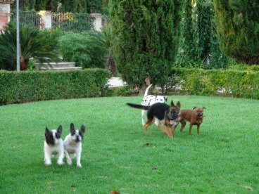 Parque de Torrecremada 26