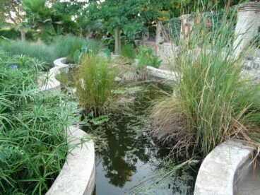 Parque de Torrecremada 29