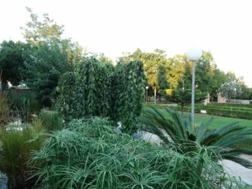 Parque de Torrecremada 31