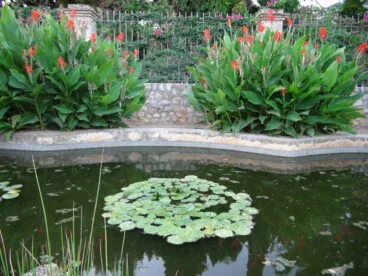 Parque de Torrecremada 35