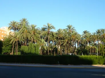 Plaza Jaume I 01