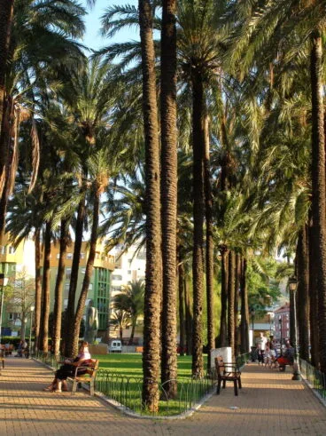 Plaza Jaume I 02