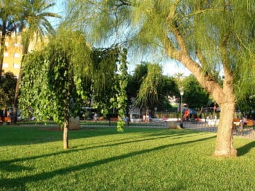 Plaza Jaume I 15