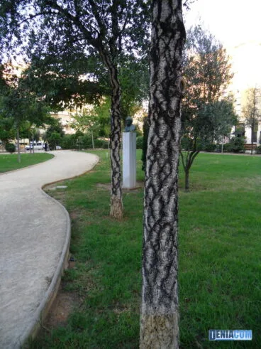 Parque Chabàs 03