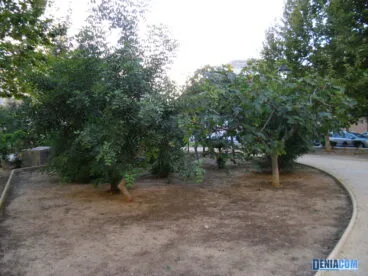 Parque Chabàs 11