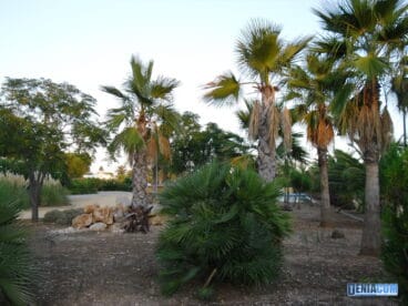 Parque de les Bassetes 01
