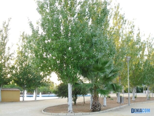 Rincones de Dénia: El Parque de les Bassetes 14 Parque de les Bassetes 13